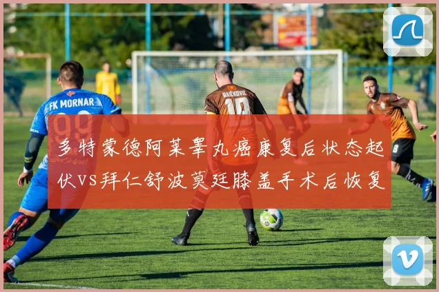 多特蒙德阿莱睾丸癌康复后状态起伏vs拜仁舒波莫廷膝盖手术后恢复良好,德甲中锋伤病恢复轨迹对比