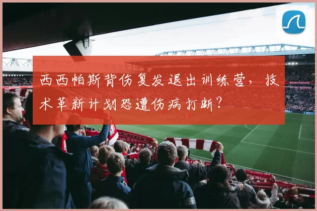 西西帕斯背伤复发退出训练营，技术革新计划恐遭伤病打断？